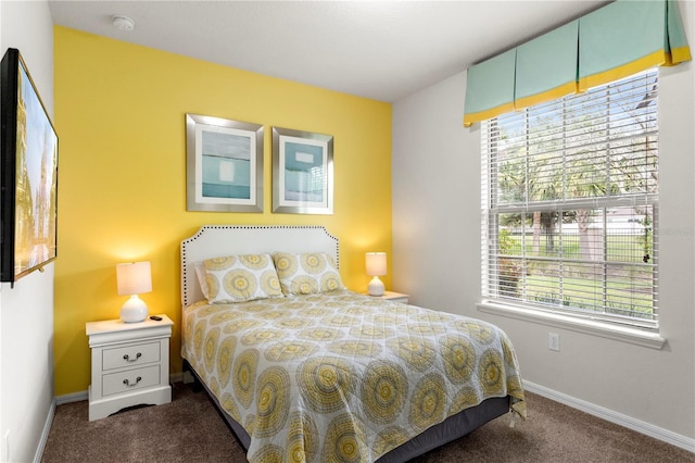 1909 Majorca Dr, Kissimmee, FL 34747 - bedroom featuring carpet flooring and multiple windows
