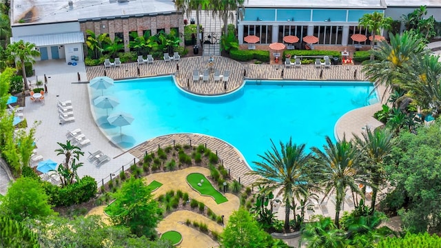 812 Benoi Dr, Davenport, FL 33896 - view of community pool