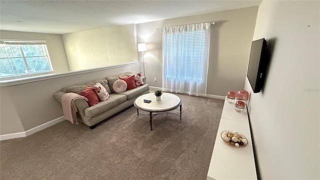 8940 Sugar Palm Rd, Kissimmee, FL 34747 - living room featuring baseboards and carpet