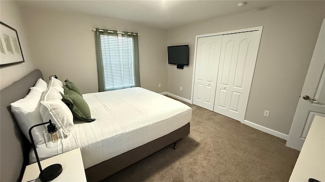 8940 Sugar Palm Rd, Kissimmee, FL 34747 - bedroom with carpet floors and a closet