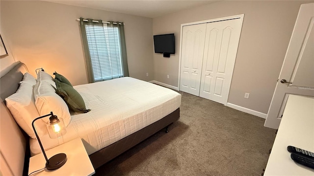 8940 Sugar Palm Rd, Kissimmee, FL 34747 - bedroom with carpet floors and a closet