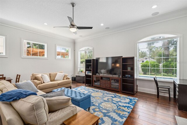 528 Greely St, Orlando, FL 32804 - photo 16