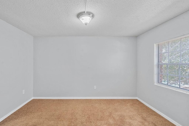 2517 Caper Ln Unit 207, Maitland, FL 32751 - carpeted spare room featuring a textured ceiling
