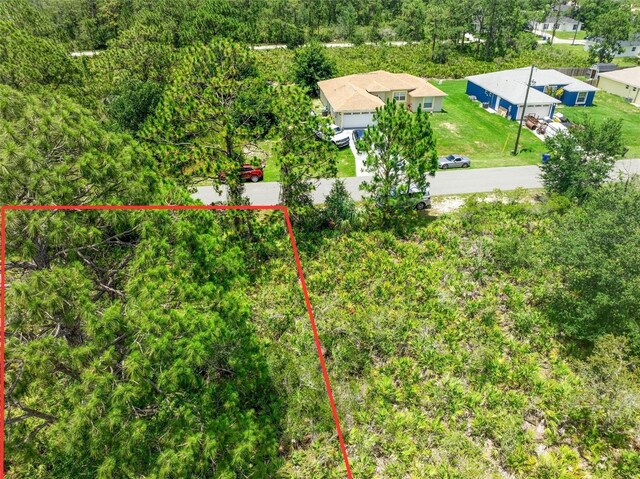 342 Piper St NW, Lake Placid, FL 33852 - photo 1