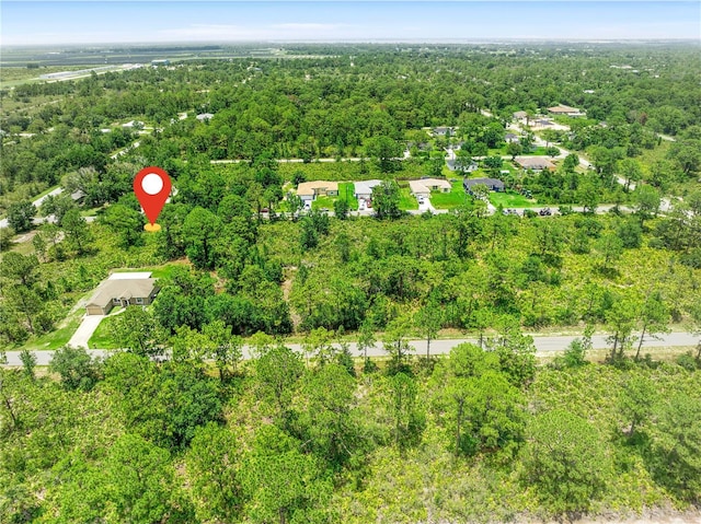342 Piper St NW, Lake Placid, FL 33852 - photo 8