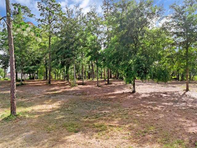 207 Howland Blvd, Deltona, FL 32738 - photo 17