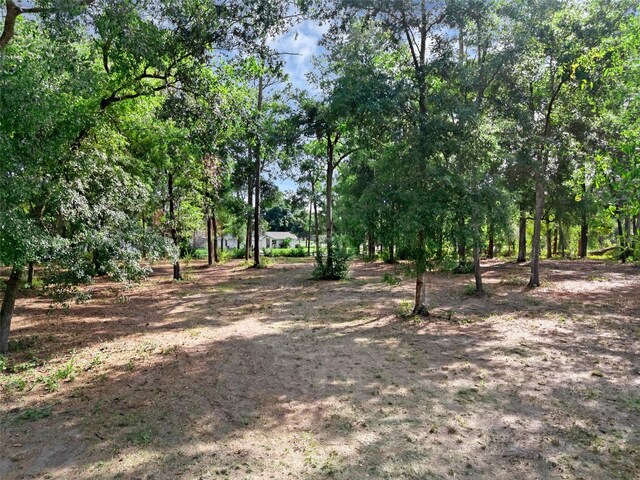 207 Howland Blvd, Deltona, FL 32738 - photo 18