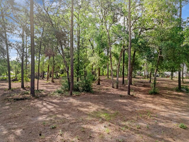 207 Howland Blvd, Deltona, FL 32738 - photo 19