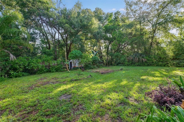 815 E 11th Ave, Mount Dora, FL 32757 - view of grassy yard