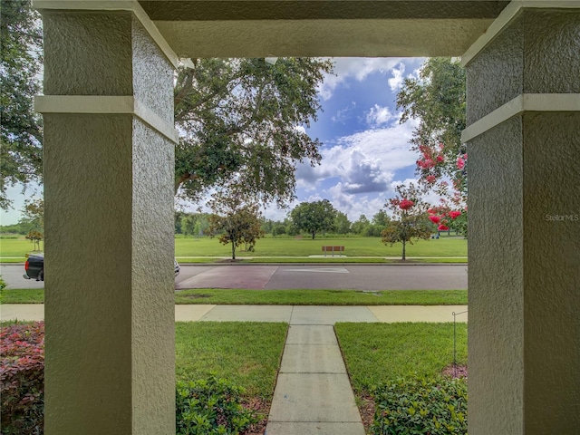 7462 Bentonshire Ave, Windermere, FL 34786 - view of green lawn