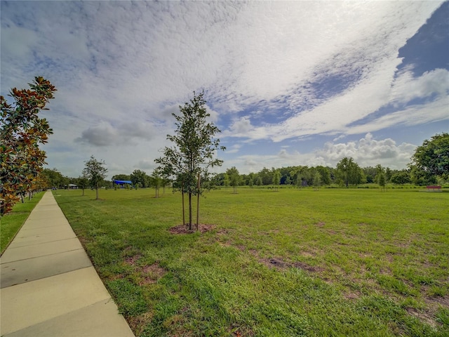 7462 Bentonshire Ave, Windermere, FL 34786 - view of green lawn