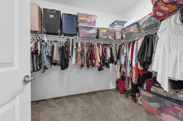 1593 Osprey View Dr, Apopka, FL 32703 - walk in closet featuring carpet flooring