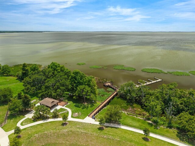 1593 Osprey View Dr, Apopka, FL 32703 - bird's eye view of a large body of water