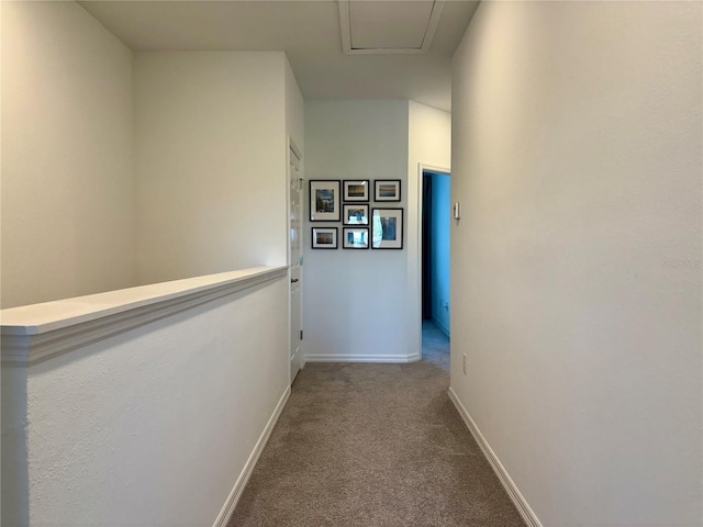 4171 Via Sienna Cir, Sarasota, FL 34243 - hallway featuring carpet floors and baseboards