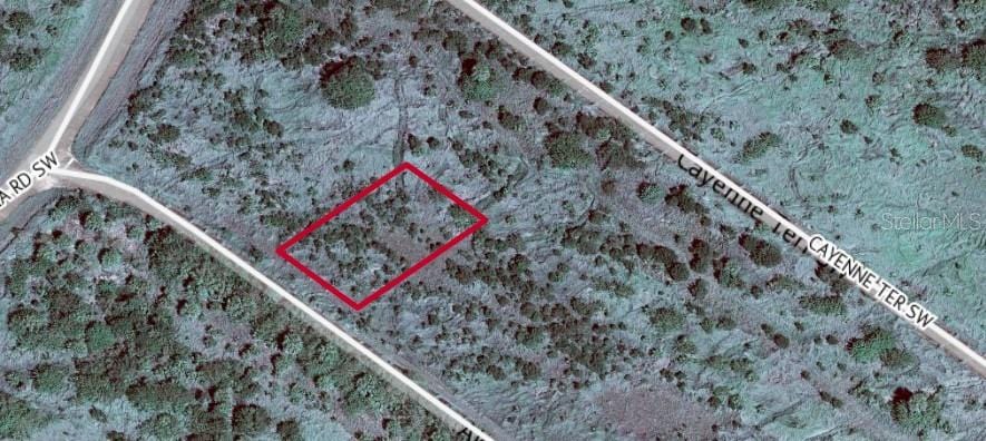 985 Akund Ter SW, Palm Bay, FL 32908 - photo 4