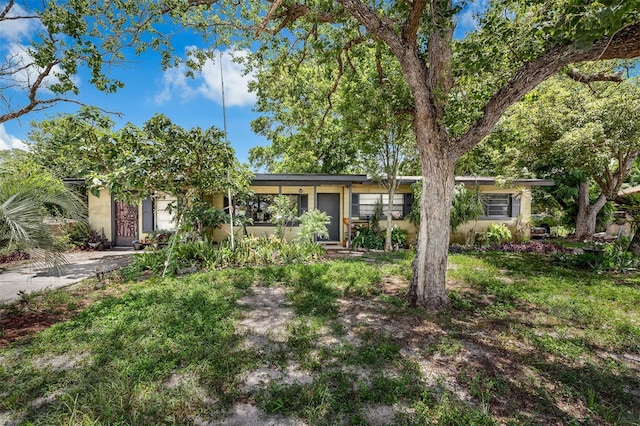 905 Flewelling Ave, Ocoee, FL 34761 - view of front facade featuring driveway