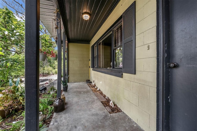 905 Flewelling Ave, Ocoee, FL 34761 - view of patio