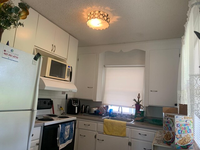 421 Ohio Ave, Saint Cloud, FL 34769 - photo 9