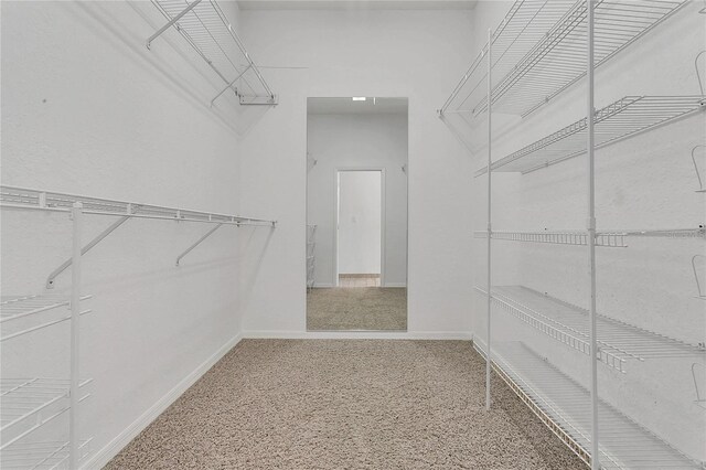 19554 Spring Oak Dr, Eustis, FL 32736 - view of spacious closet