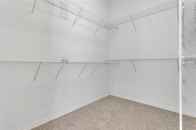 19554 Spring Oak Dr, Eustis, FL 32736 - view of walk in closet