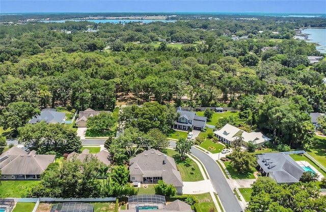 19554 Spring Oak Dr, Eustis, FL 32736 - aerial view of residential area with a nearby body of water and a heavily wooded area