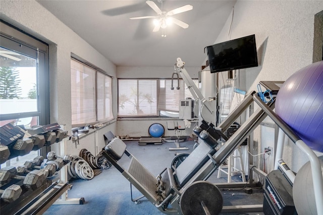2406 Sweetwater Blvd, Saint Cloud, FL 34772 - exercise room featuring a ceiling fan, vaulted ceiling, and a textured wall