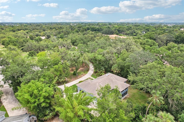 5836 Spruce Creek Woods Dr, Port Orange, FL 32127 - photo 63