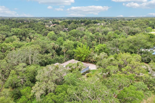 5836 Spruce Creek Woods Dr, Port Orange, FL 32127 - photo 65