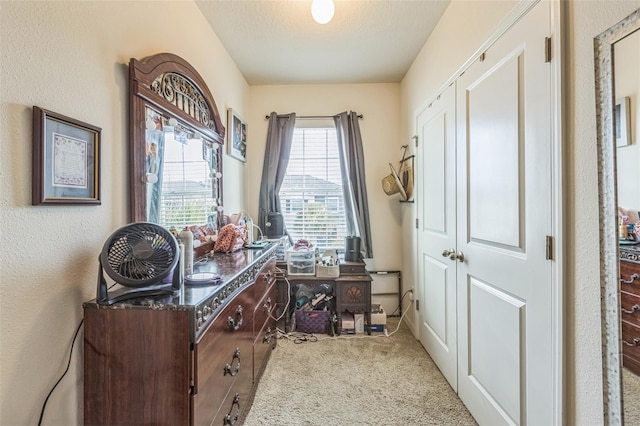 819 Lucent Sands Ct, Brandon, FL 33511 - carpeted office with a textured wall