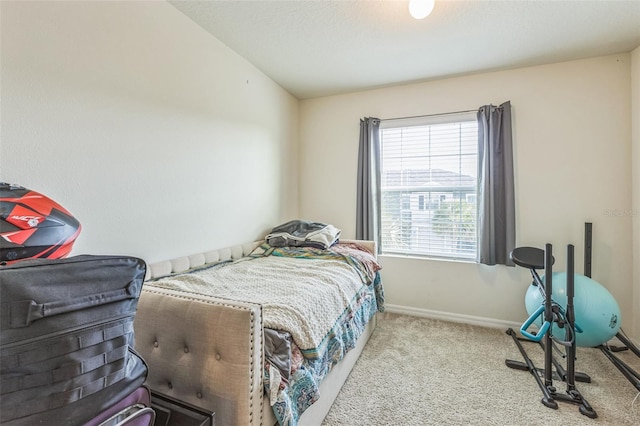 819 Lucent Sands Ct, Brandon, FL 33511 - carpeted bedroom with baseboards