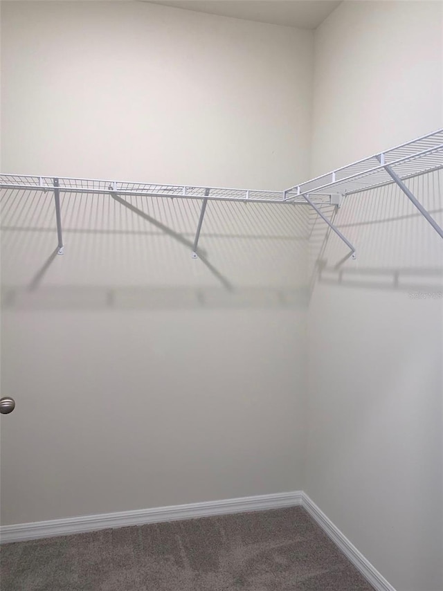613 Hickory Course Loop, Ocala, FL 34472 - spacious closet with dark colored carpet