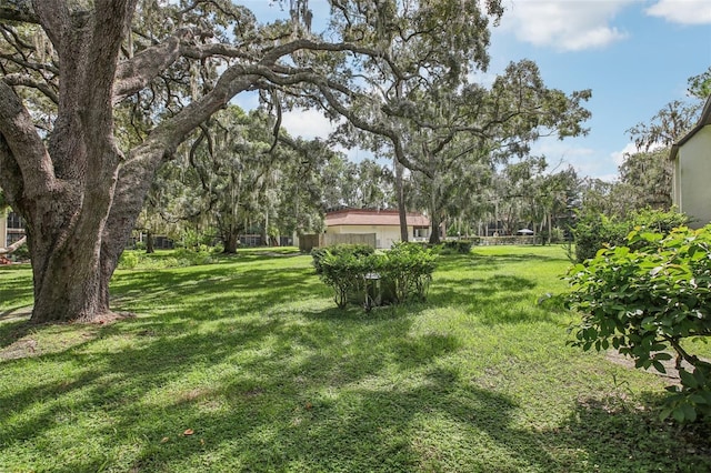 2400 Forest Dr Unit 219, Inverness, FL 34453 - view of green lawn