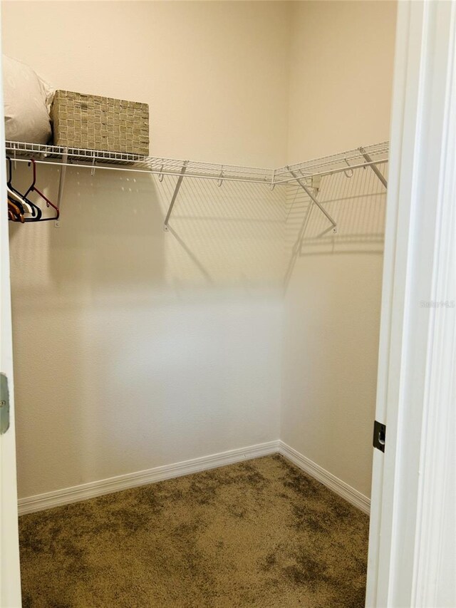 2824 Neverland Dr, New Smyrna Beach, FL 32168 - spacious closet featuring carpet floors