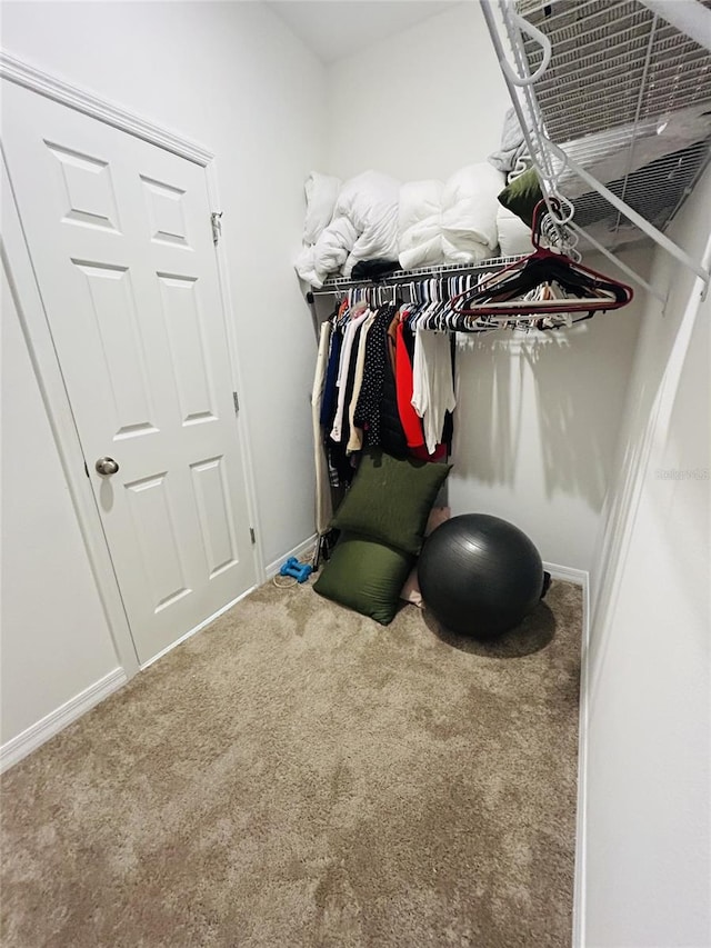 2824 Neverland Dr, New Smyrna Beach, FL 32168 - walk in closet with carpet flooring
