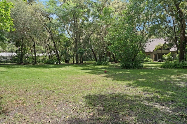 4702 Shorecrest Dr, Orlando, FL 32817 - view of grassy yard