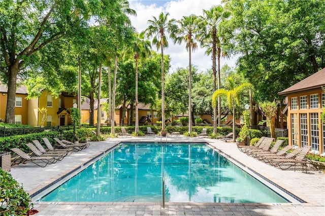 6384 Raleigh St Unit 2214, Orlando, FL 32835 - view of community pool