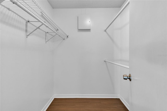 845 Valnera Ct, Kissimmee, FL 34758 - walk in closet with wood finished floors