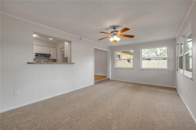 879 Tamerlane St, Deltona, FL 32725 - empty room with a ceiling fan, light carpet, a textured ceiling, and ornamental molding