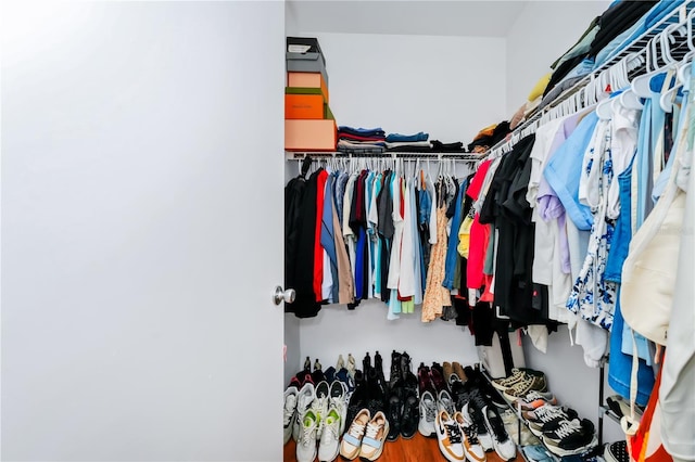 5566 Metrowest Blvd Unit 10, Orlando, FL 32811 - view of spacious closet