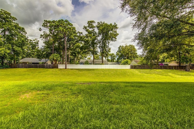 2031 Wekiva Reserve Blvd, Apopka, FL 32703 - view of yard