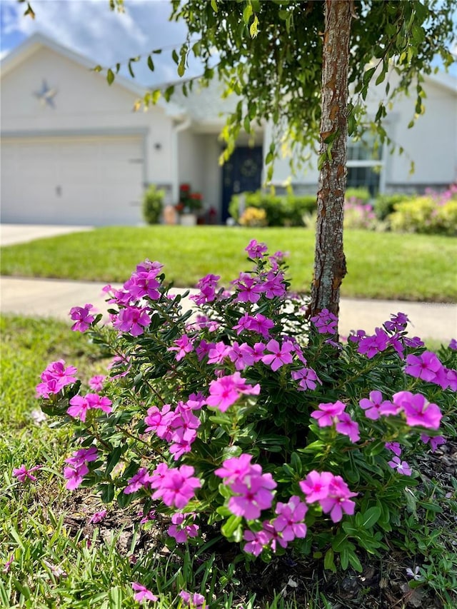 7 Polermo Ave, Saint Cloud, FL 34771 - photo 4