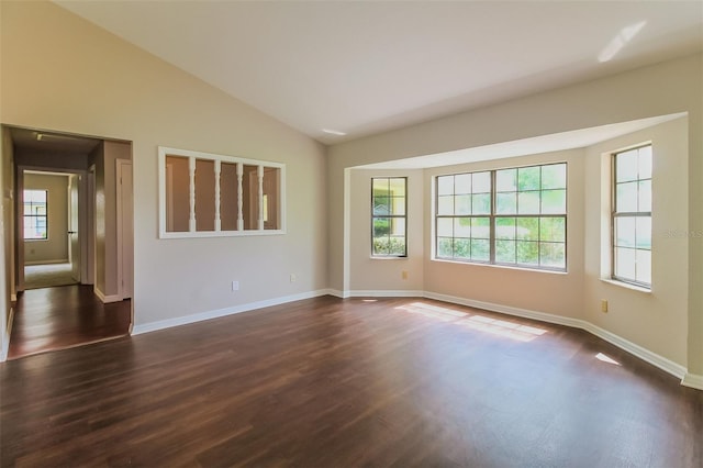 10448 SW 74th Ct, Ocala, FL 34476 - empty room featuring plenty of natural light, dark wood-style floors, and vaulted ceiling