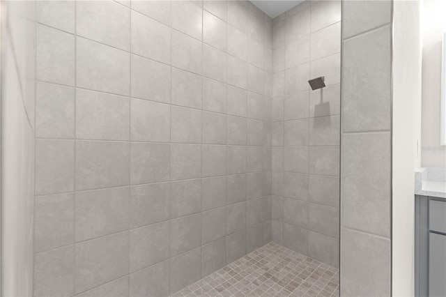12258 SW 76th Ln, Dunnellon, FL 34432 - bathroom featuring tiled shower and vanity