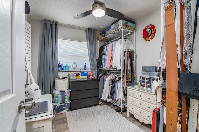 808 Camphor Way, Melbourne, FL 32901 - walk in closet with a ceiling fan and wood finished floors