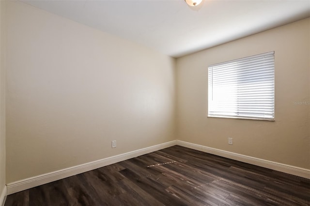 3312 Victory Palm Dr, Edgewater, FL 32141 - photo 12