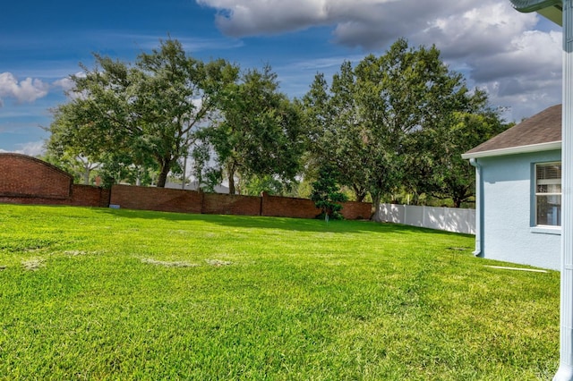 2237 Wintermere Pointe Dr, Winter Garden, FL 34787 - view of yard