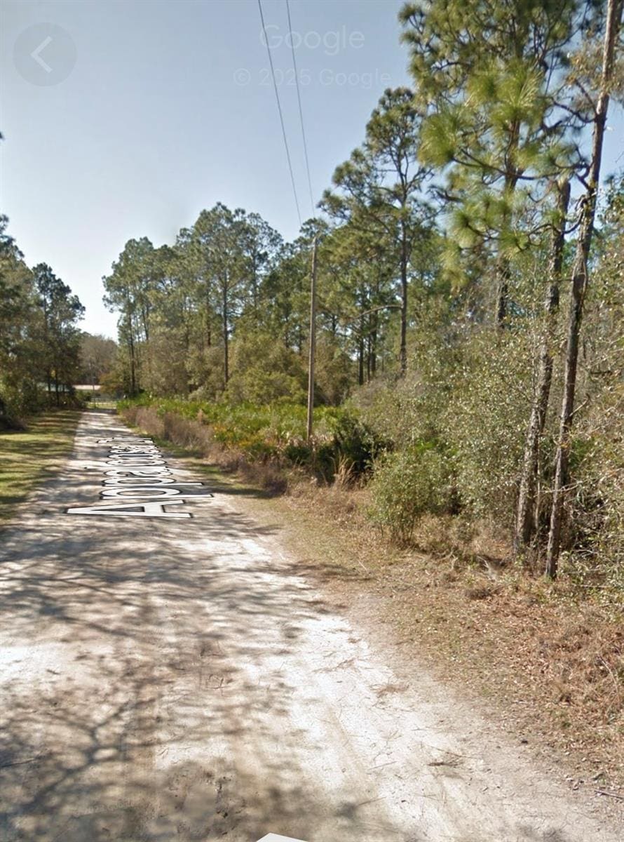 Appaloosa Dr, Interlachen, FL 32148
