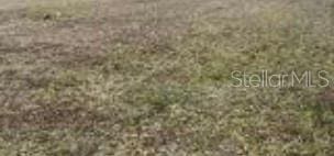0 NW 26th St, Winter Haven, FL 33881 - photo 1
