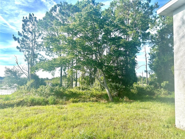 2457 Tracy Ln, Deltona, FL 32738 - photo 21