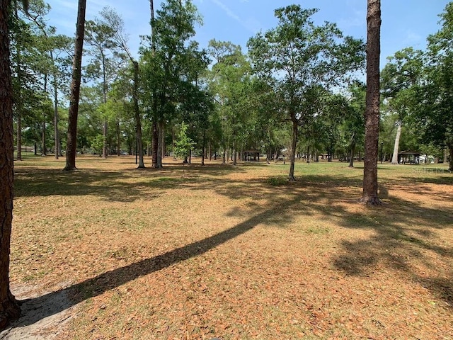 2312 S Summerlin Ave, Orlando, FL 32806 - view of grassy yard with view of scattered trees